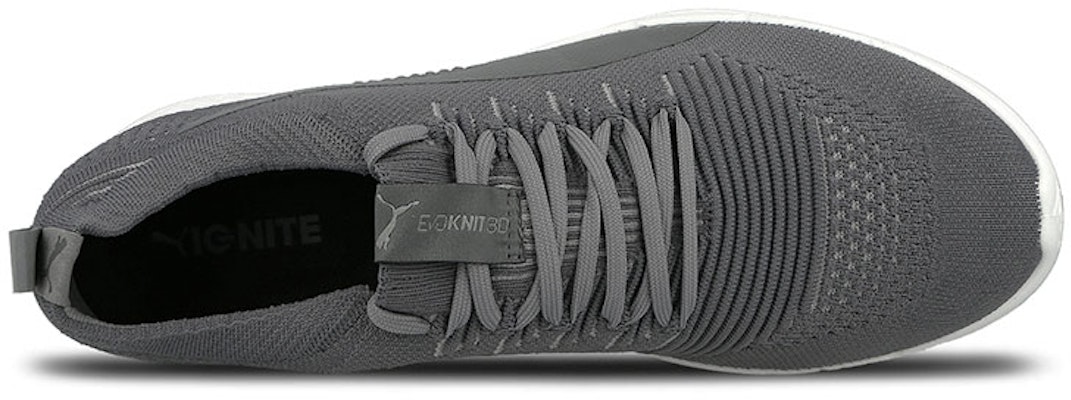 Puma Ignite Evoknit 3D 'Light Grey' 189909-04 Shop Puma Ignite Evoknit 3D 'Light Grey' 189909-04