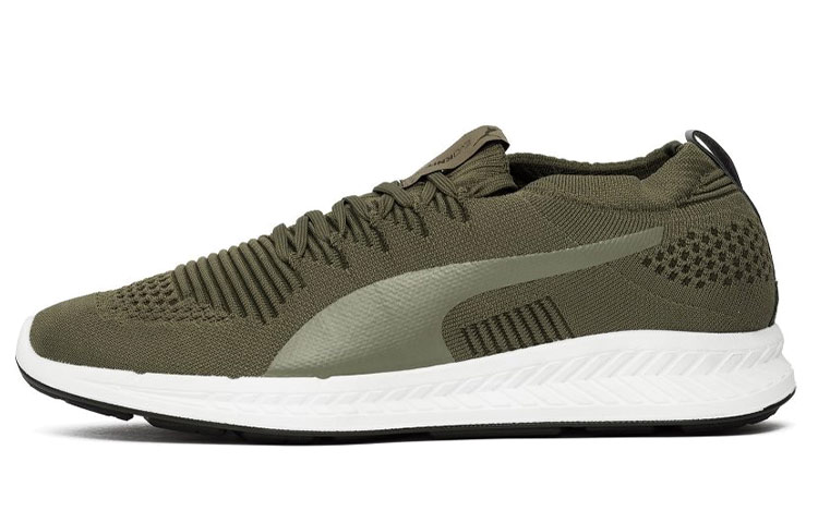 Puma Ignite Evoknit 3D Low 'Dark Green' 189909-07