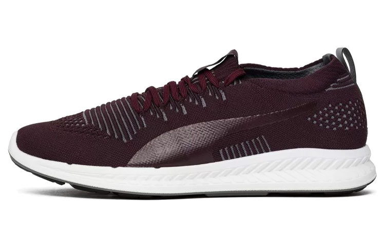 Puma Ignite Evoknit 3D Low 'Dark Red' 189909-08