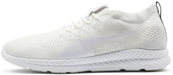 puma-ignite-evoknit-3-d-low-off-white-189909-09