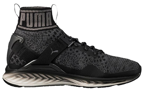 Order Puma Ignite evoKnit ''Asphalt Quiet Shade'' Chaussures 189895-01