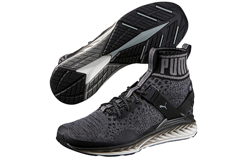 Purchase Puma Ignite evoKnit ''Asphalt Quiet Shade'' Chaussures 189895-01