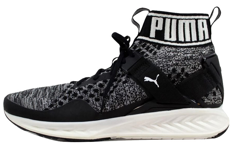 Puma Ignite evoKnit 'Black' 189697-01
