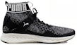 Order Puma Ignite evoKnit 'Hitam' 189697-01