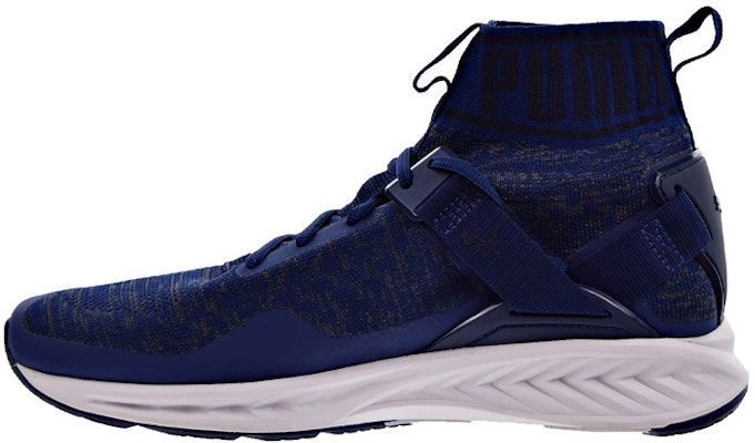 Puma Ignite evoKNIT 'Blue Running' 189697-11 Buy Puma Ignite evoKNIT 'Blue Running' 189697-11