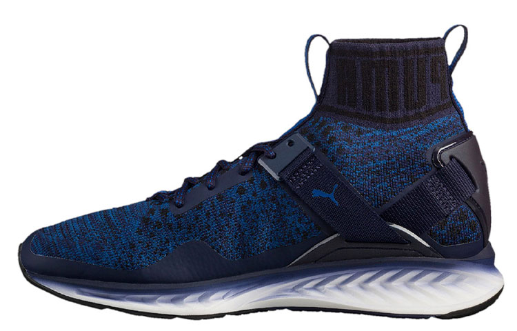 Puma Ignite evoKnit 'Fade - Peacoat' 189895-03