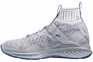 Puma Ignite evoKNIT 'Grey Running' 189697-12 Puma Ignite evoKNIT 'Grey Running' 189697-12