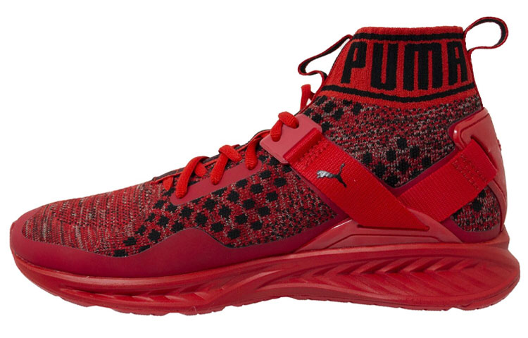 Puma Ignite EvoKnit 'Red' 189697-10