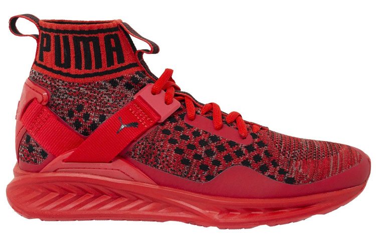 Order Puma Ignite EvoKnit '红色' 189697-10