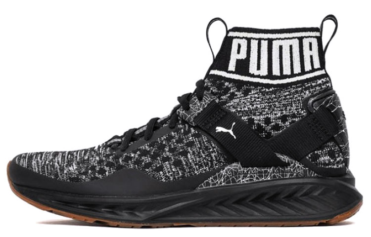 Puma Ignite evoKnit Hypernature 'Black Gum' 190337-03