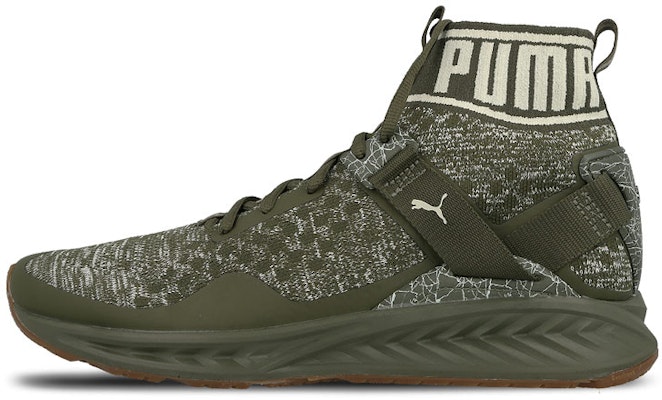 彪马 Ignite Evoknit Hypernature 透氣舒適 中幫運動鞋 軍綠 Buy 彪马 Ignite Evoknit Hypernature 透氣舒適 中幫運動鞋 軍綠