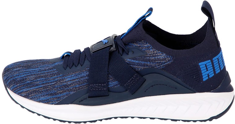 Puma Ignite Evoknit Lo 2 'Blue' 190459-03 Buy Puma Ignite Evoknit Lo 2 'Blue' 190459-03