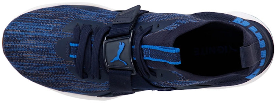 Puma Ignite Evoknit Lo 2 'Blue' 190459-03 Shop Puma Ignite Evoknit Lo 2 'Blue' 190459-03