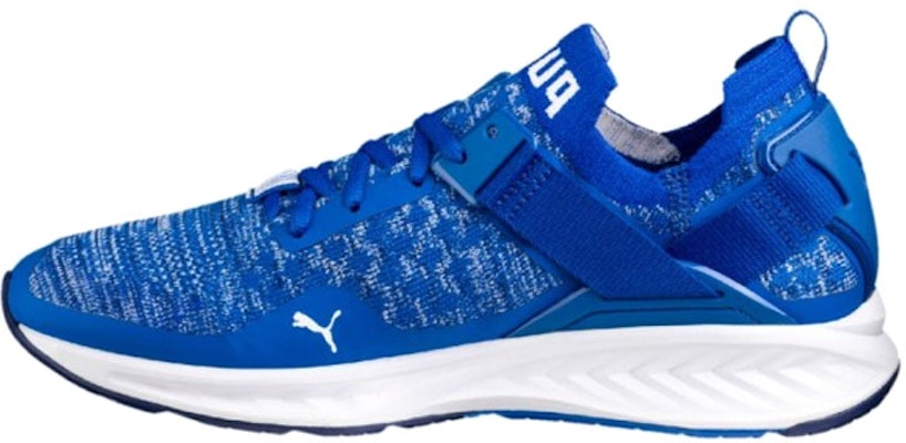 Puma Ignite EvoKnit Lo 'Biru Terang' 189904-06 Buy Puma Ignite EvoKnit Lo 'Biru Terang' 189904-06
