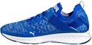Buy Puma Ignite EvoKnit Lo 'Biru Terang' 189904-06