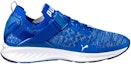 Order Puma Ignite EvoKnit Lo 'Biru Terang' 189904-06