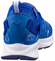 Shop Puma Ignite EvoKnit Lo 'Azul Brillante' 189904-06