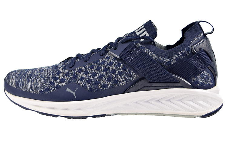Puma Ignite EvoKnit Lo 'Lightweight Breathable Casual Blue' 189904-03