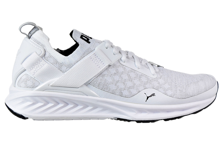 Lookbook Puma Ignite Evoknit Lo ''Bianco'' 189904-02