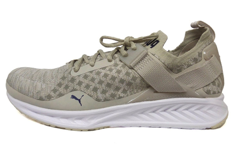 Puma Ignite EvoKnit Lo Pavement 189926-02
