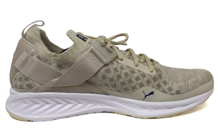 Order Puma Ignite EvoKnit Lo Trotoar 189926-02