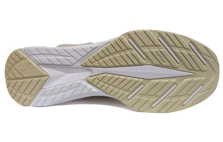 Purchase Puma Ignite EvoKnit Lo Trotoar 189926-02