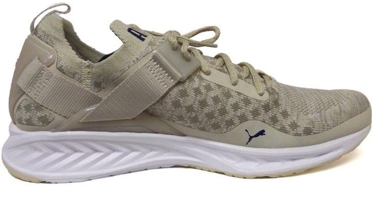 Puma Ignite EvoKnit Lo Pavement 189926-02 Order Puma Ignite EvoKnit Lo Pavement 189926-02
