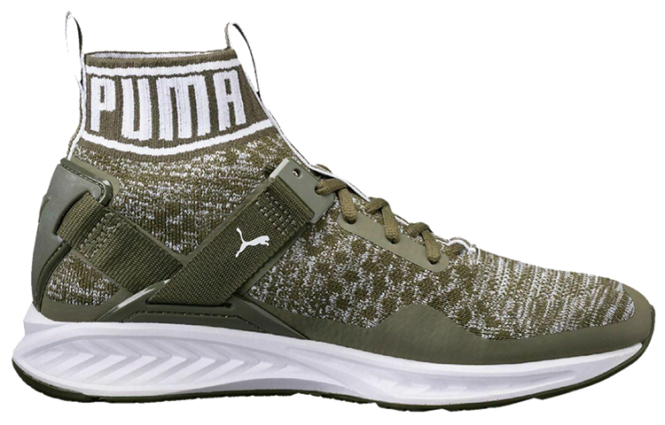 Order Sepatu Lari Puma Ignite EvoKnit Hijau/Putih 189697-14