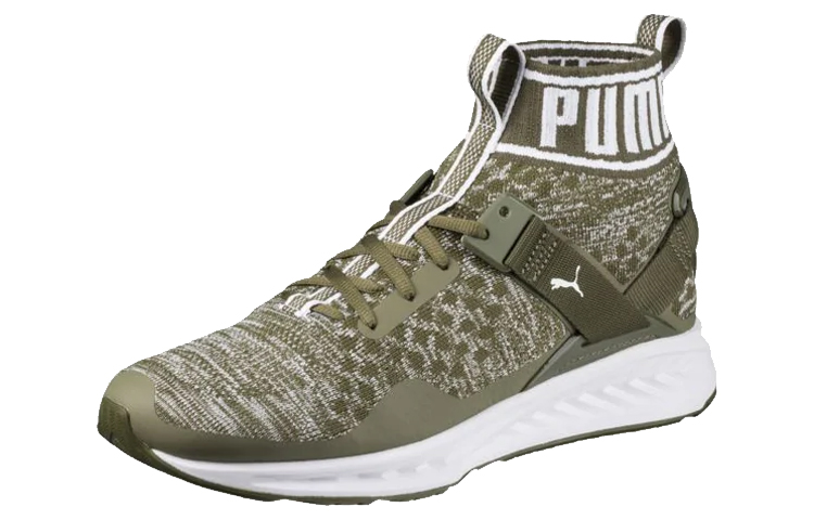 Lookbook Sepatu Lari Puma Ignite EvoKnit Hijau/Putih 189697-14