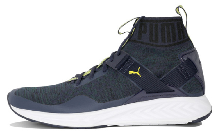 Puma Ignite EvoKNIT Shoes Blue 189697-19