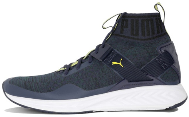 Puma Ignite EvoKNIT Shoes Blue 189697-19 Buy Puma Ignite EvoKNIT Shoes Blue 189697-19