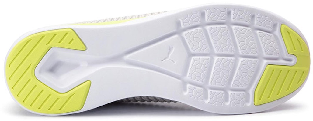 Puma Ignite Flash 'Daylight Beige Grey' 192512-01 Purchase Puma Ignite Flash 'Daylight Beige Grey' 192512-01