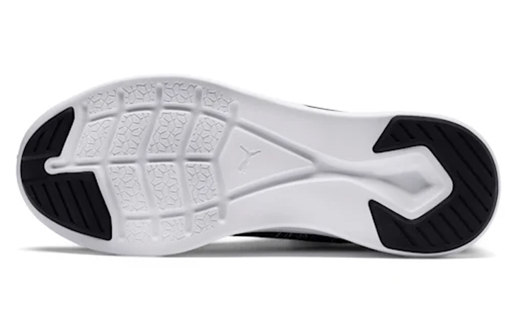 Purchase Puma Ignite Flash EvoKnit 'Hitam Aspal' 190508-02