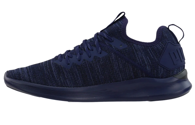 Puma Ignite Flash Evoknit 'Blue' 190508-06