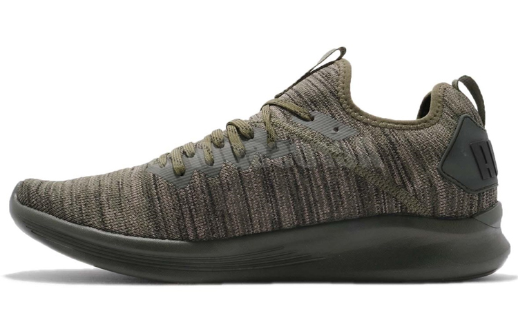 Puma Ignite Flash evoKnit 'Forest Night' 190508-04