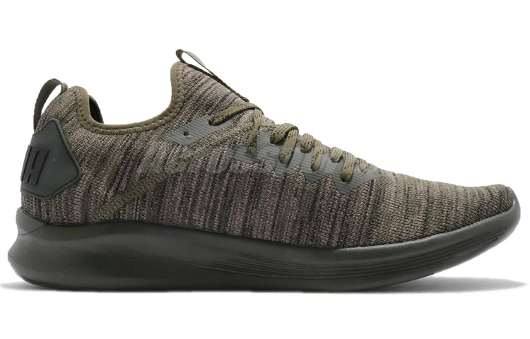 Order Puma Ignite Flash evoKnit 'Hutan Malam' 190508-04