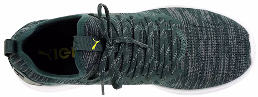 Lookbook Puma Ignite Flash Evoknit ''Verde Nero'' 190508-17
