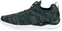 Buy Puma Ignite Flash Evoknit 'Hijau Hitam' 190508-17