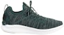 Puma Ignite Flash Evoknit 'Hijau Hitam' 190508-17