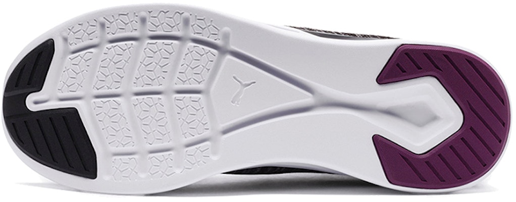 Puma ignite evoknit shop flash womens purple