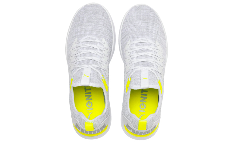 Puma Ignite Flash Evoknit 'Gray White' 圖 3