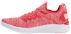 Puma Ignite Flash Evoknit 'Merah Oren' 190508-19