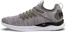 Buy Puma Ignite Flash EvoKnit 'Kelabu Keluli' 190508-18