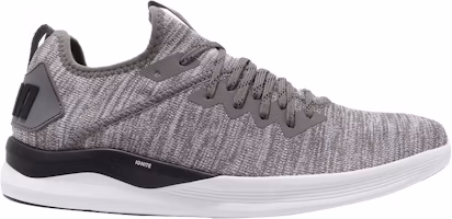 Puma Ignite Flash EvoKnit 'Steel Gray' 190508-18 Puma Ignite Flash EvoKnit 'Steel Gray' 190508-18
