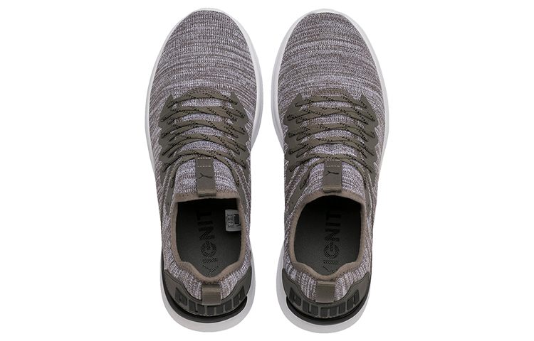 Shop Puma Ignite Flash EvoKnit 'Gris Acero' 190508-18