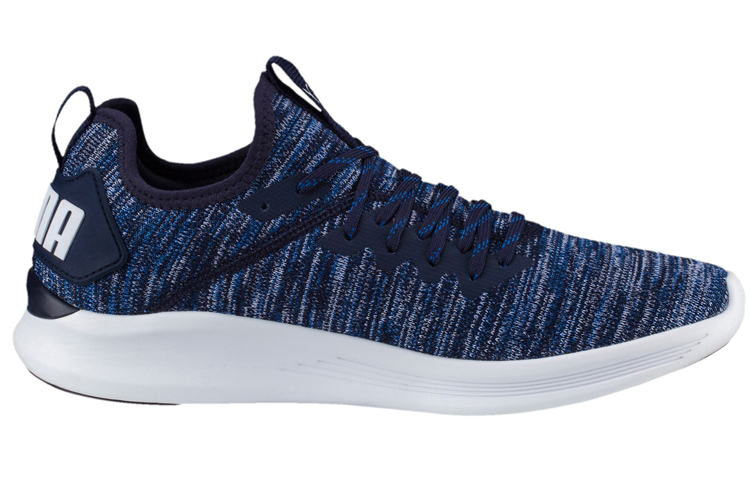 Puma Ignite Flash Evoknit Low 'Blue White' 圖 2