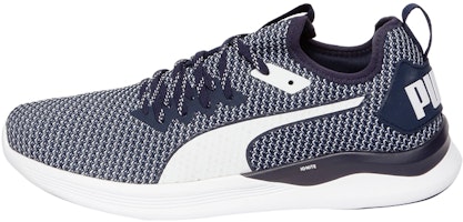 Puma Ignite Flash Fs Blue/White 192496-03 Puma Ignite Flash Fs Blue/White 192496-03