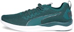Buy Puma Ignite Flash FS 'Ponderosa Pine' Lelaki Wanita Kasut Sukan 192496-02
