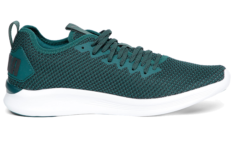 Order 푸마 이그나이트 플래시 FS '폰데로사 파인' (Puma Ignite Flash FS 'Ponderosa Pine') 192496-02