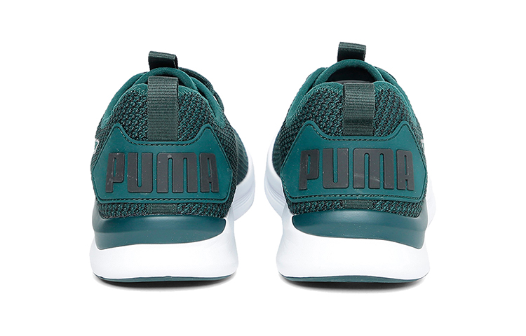 Shop 푸마 이그나이트 플래시 FS '폰데로사 파인' (Puma Ignite Flash FS 'Ponderosa Pine') 192496-02